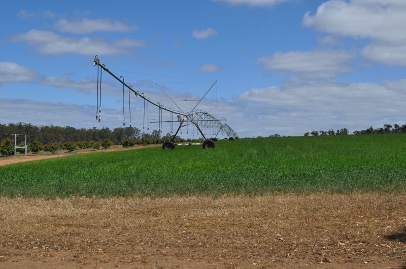 Plant Irrigation Installation in Ventura County, CA