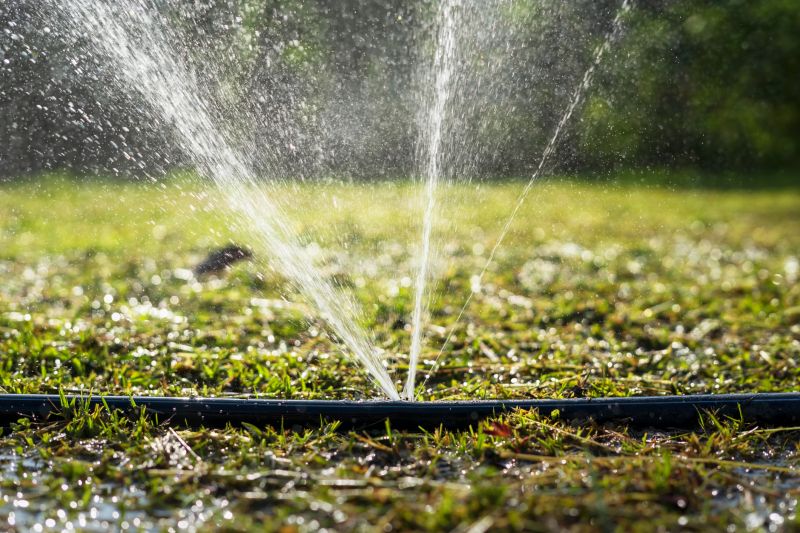 Sprinkler Line Replacement in Honolulu, HI